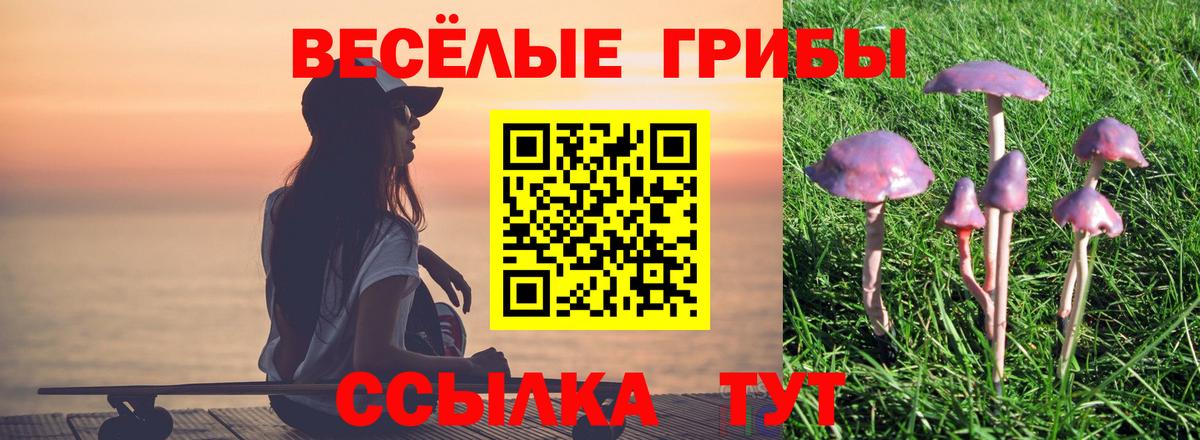 Псилоцибиновые грибы мухоморы  Вход с VPN  Санкт-Петербург 