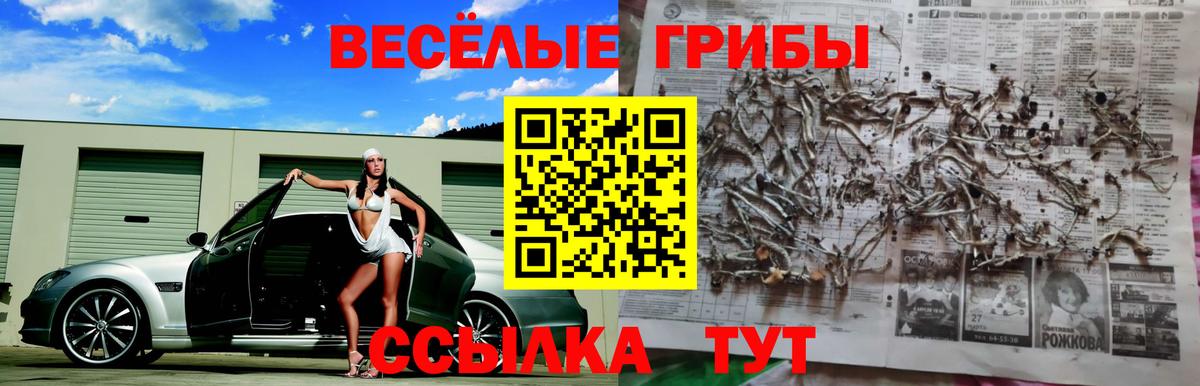 Псилоцибиновые грибы Cubensis Санкт-Петербург